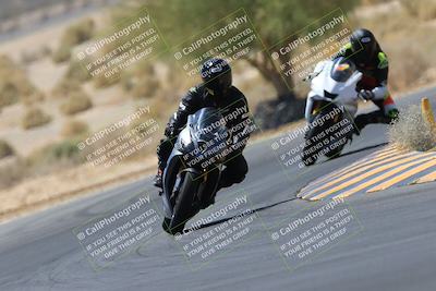 media/May-14-2023-SoCal Trackdays (Sun) [[024eb53b40]]/Turn 5 Tree of Life (1125am)/